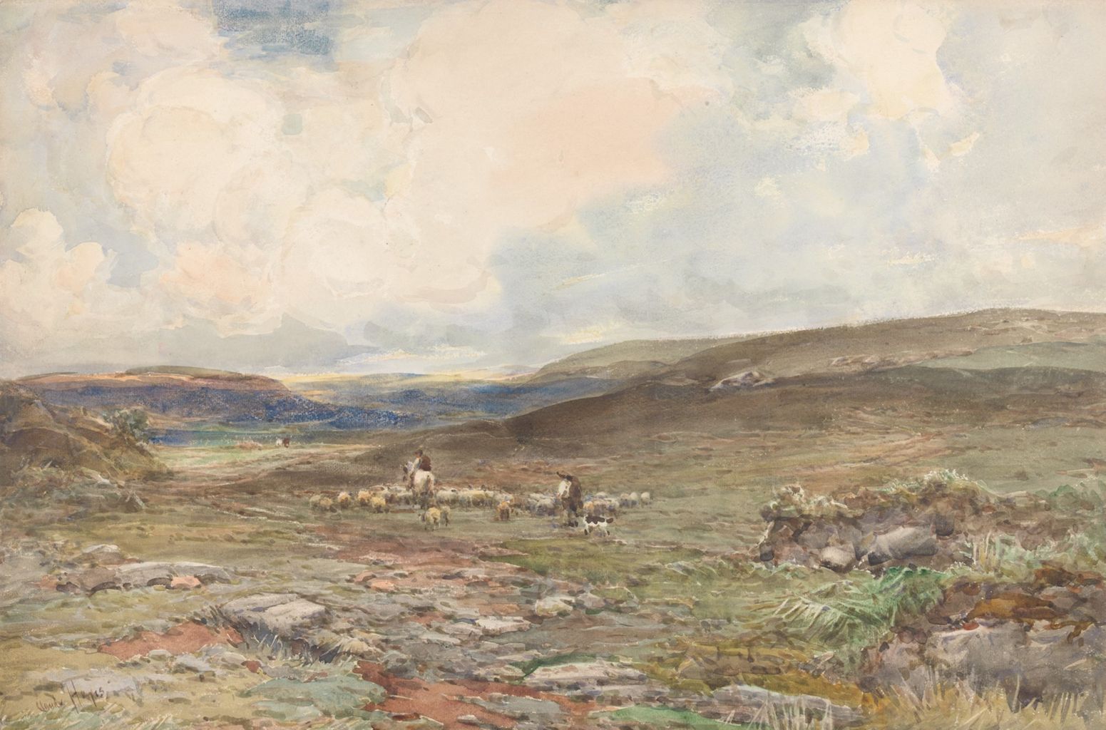 Sheep with shepherds